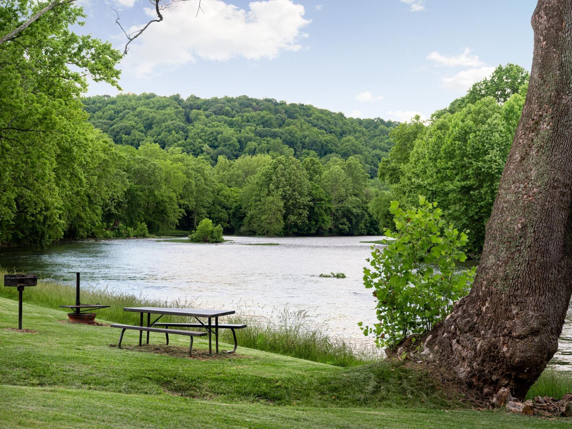Shenandoah Dog Friendly Cabin With River Access, Hot Tub, Fire Pit, Bbq, Outdoor Dining Eksteriør billede